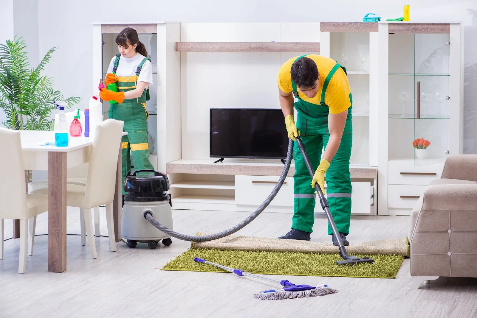 Carpet Cleaning in Central Kentucky - Steam Team water cleanup services Kentucky emergency response