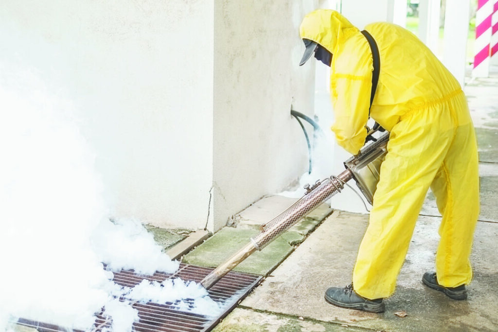 water cleanup services Kentucky flooded basement